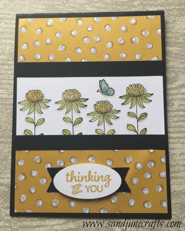 2016 Sale-A-Brations Flowering Fields