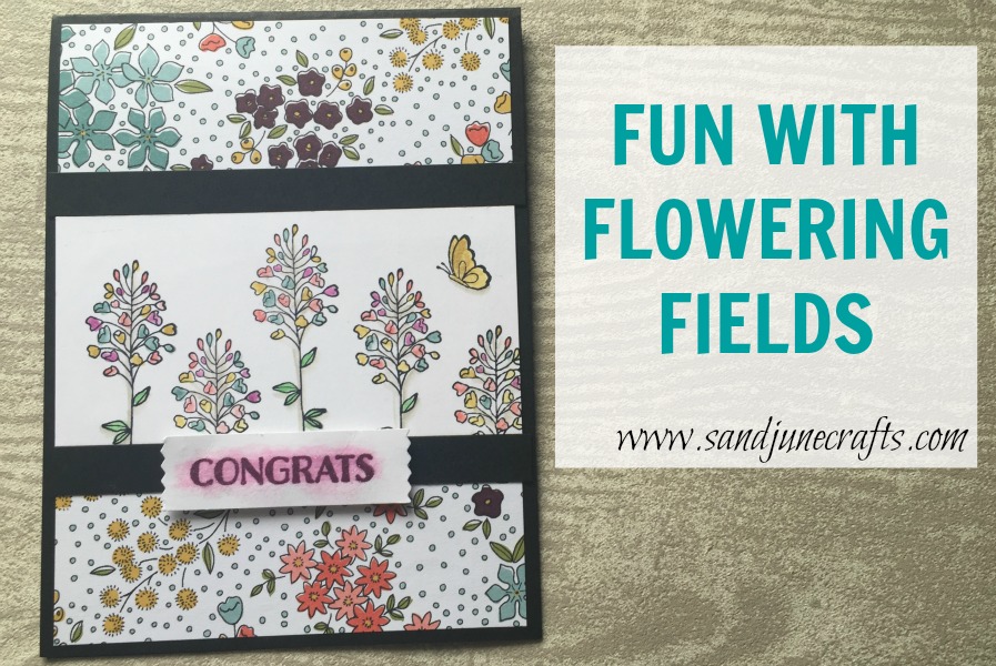 Fun With Flowering&nbsp;Fields